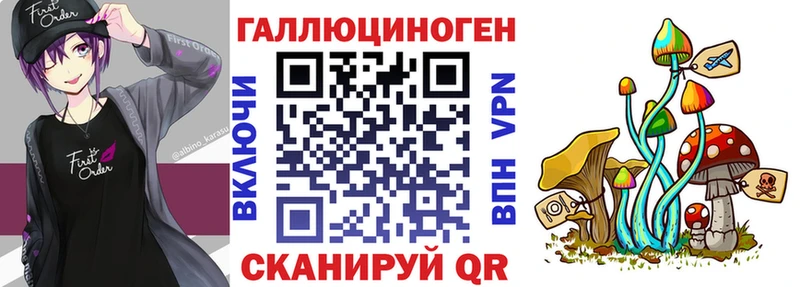 Галлюциногенные грибы Psilocybine cubensis Дмитров