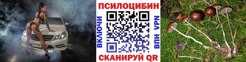 Псилоцибиновые грибы Magic Shrooms  Купить  Дмитров 